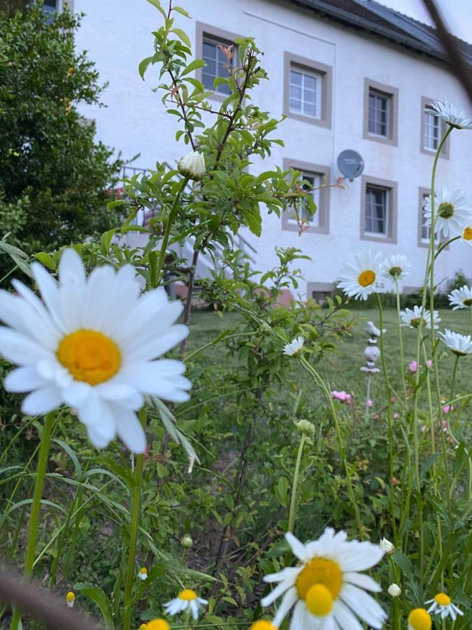 An Der Walnuss Apartamento Feilsdorf Exterior foto